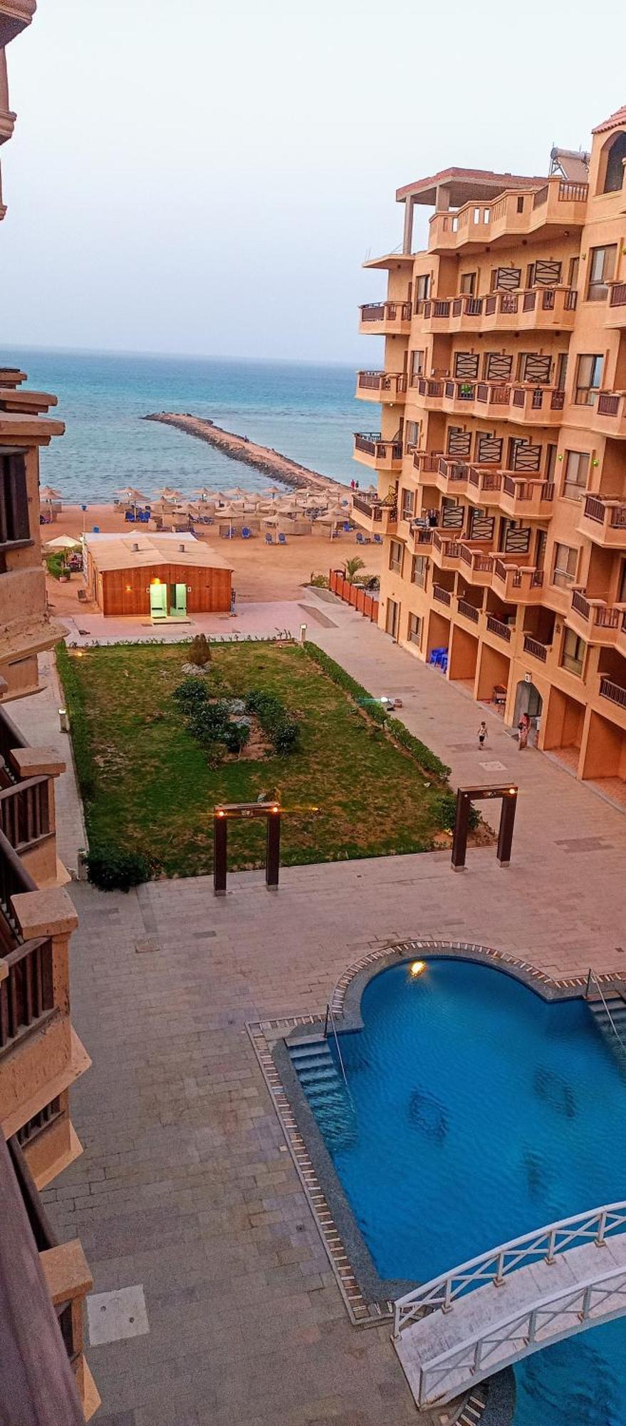 Turtles * Hurghada