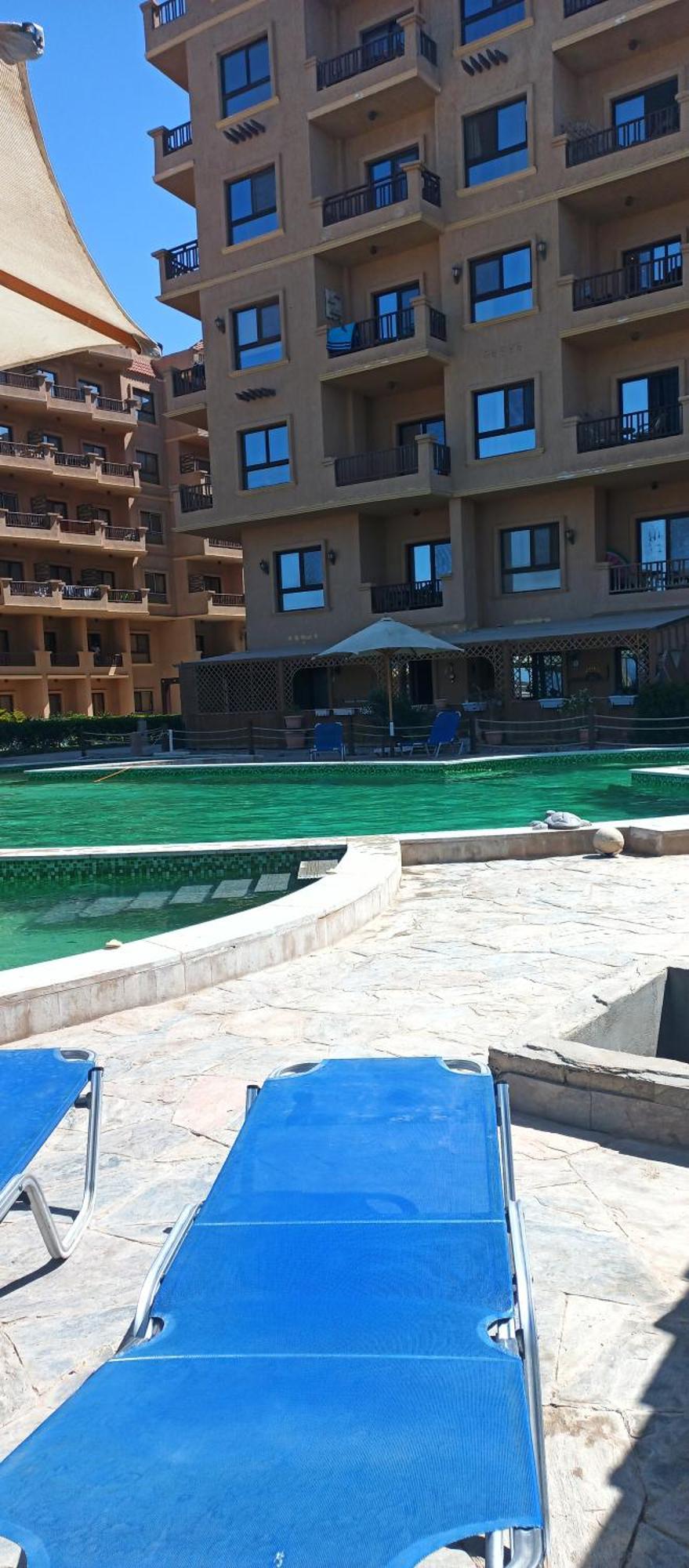 Appartement Turtles